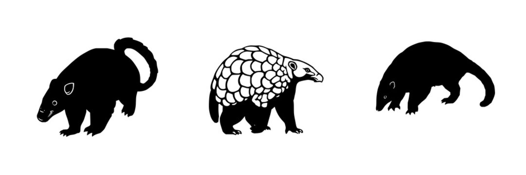 Pangolin silhouette set with solid black rare wildlife icon featuring endangered species, conservation symbol, and defensive stance with white background