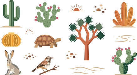 Desert Flora and Fauna Flat Vector Illustration Set with Saguaro Cactus Prickly Pear Joshua Tree Tortoise Jackrabbit and Roadrunner for Nature Graphic Designs © MdJaynal
