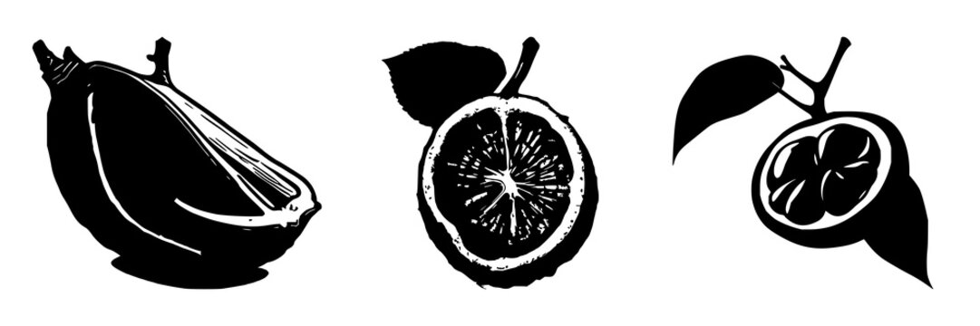 Mangosteen cross-section set with solid black silhouette on white background featuring laboratory-grown, exotic, future food with vector illustration and design