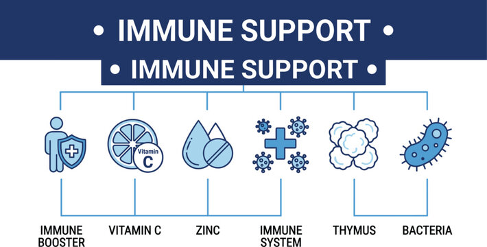 Immune support infographic icon set featuring health boosters nutrition zinc thymus bacteria defense and body protection