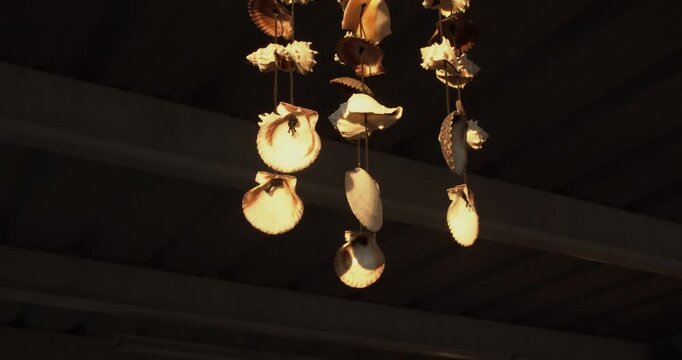 Atmospheric decorative footage showing a natural wind chime made from scallop and conch-style shells, illuminated by soft evening light in a peaceful outdoor setting.