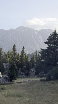 Brewing Tea Over a Campfire in the Wild Mountains