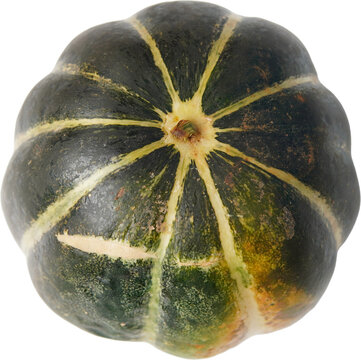 whole round blewah melon. whole round blewah melon. fresh raw blewah cantaloupe melon