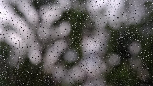 watching rain falling from window