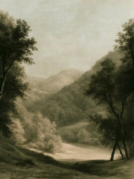 Misty woodland valley landscape with winding path and distant hills
