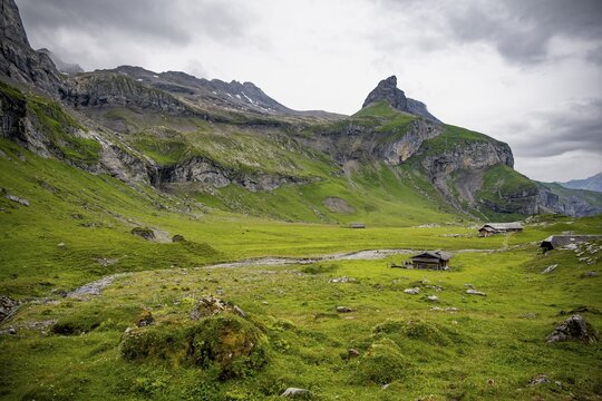 Alpine pastures and alpine meadows on Kienboden, green mountains, Bernese Alps, Bernese Oberland, Switzerland