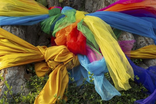 Sacred cloths around the roots of a strangler fig (Ficus religiosa), Ayutthaya, Thailand