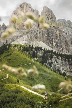 Female hiker with trekking pole turning to look at camera walking winding dirt path along green alpine ridge majestic jagged Cir peaks background Passo Gardena Dolomites Italy