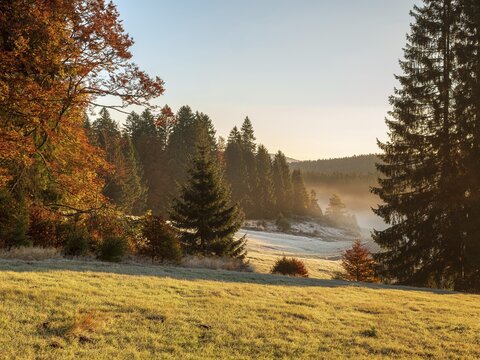 Typical open Black Forest landscape with meadows and forests in autumn in morning light with fog and hoarfrost, Black Forest, Baden-W&uuml;rttemberg, Germany