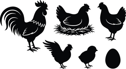 Poultry Farm Chicken and Rooster Silhouette Icon Set with Brooding Hen on Nest, Little Chick, and Fresh Egg Vectors © Yousuf