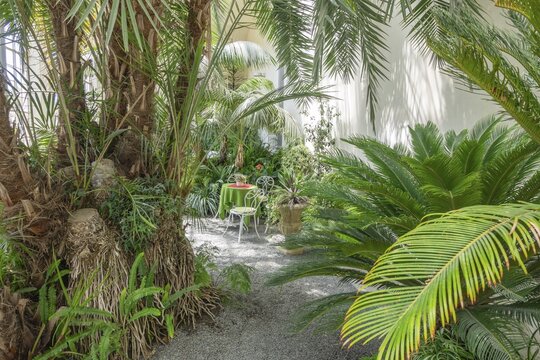 An idyllic seating area in a palm house, Kroměř&iacute;ž, Zl&iacute;nsk&yacute; kraj, Czech Republic