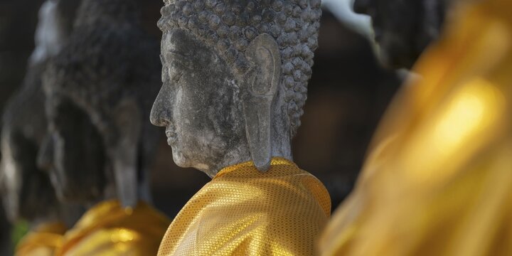 Row of Buddha statues with golden yellow tunic around the Great Chedi Chaya Mongkol, Wat Yai Chai Mongkon, Ayutthaya, Thailand