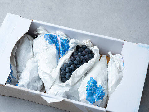 Packaged fresh grapes, fresh fruit