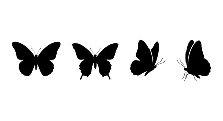Butterfly Silhouettes Collection, Vector Icons Set, Insect Wing Shapes, Nature Graphics © MR