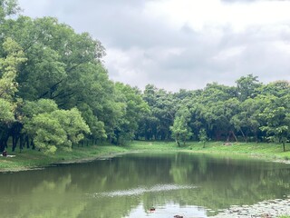 Peaceful Forest Lake with Green Trees and Cloudy Sky Nature Landscape View