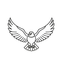 Fototapeta premium Eagle with outstretched wings, line art