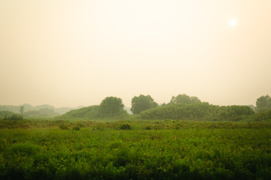 Wildfire smoke veils a lush Illinois prairie landscape