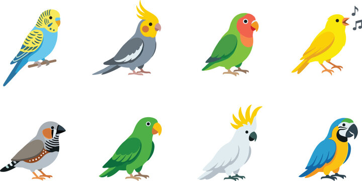 Cute Pet Birds Vector Icon Set Featuring Parrots Budgie Cockatiel Canary Finch and Macaw