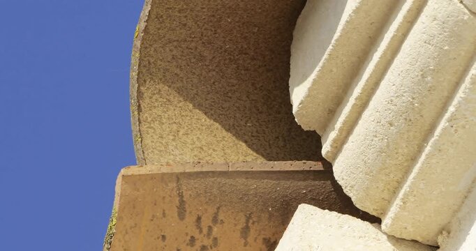 Common swifts,  (Apus apus), coming back to the nest under tiled roof. France.