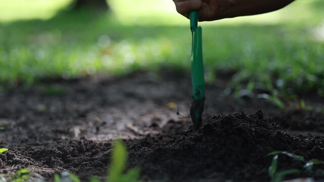 Soil Research and Analysis in Agricultural Field