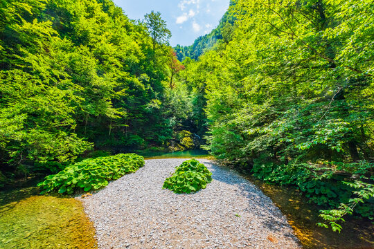 Green pool, or Zeleni vir, in Gorski kotar, Croatia
