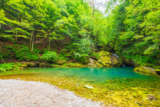 Green pool, or Zeleni vir, in Gorski kotar, Croatia
