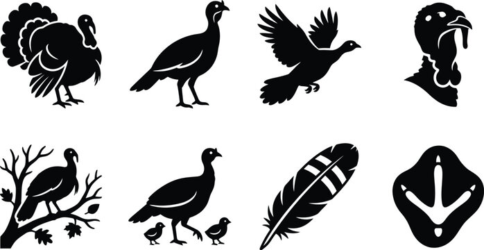 Wild turkey bird silhouettes icon set. tom turkey fanning tail, standing hen, flying turkey, turkey head portrait, roosting turkey on branch, turkey with chicks, turkey feather, turkey footprint track