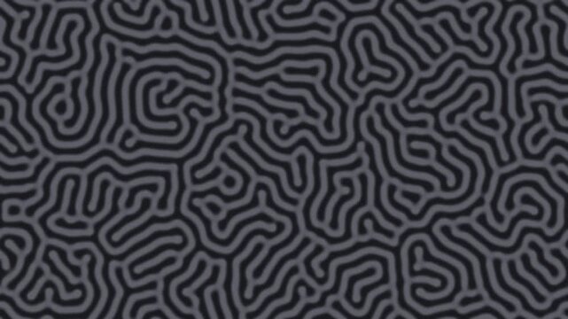 Black organic turing pattern morphing slowly, biological seamless loop background