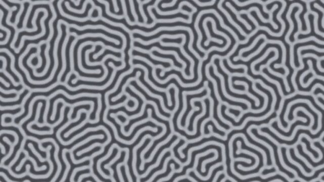 Gray organic turing pattern morphing slowly, biological seamless loop background