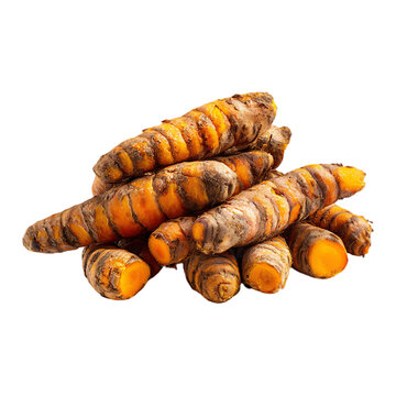 Neat pile of whole raw turmeric roots