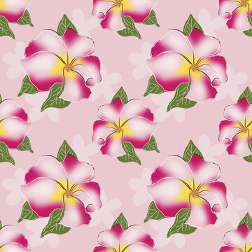 Frangipani, Temple tree ,Pagoda tree, Tropical plumeria flower seamless pattern on pink background for fabric, wallpaper, wrapping paper and summer textile design.