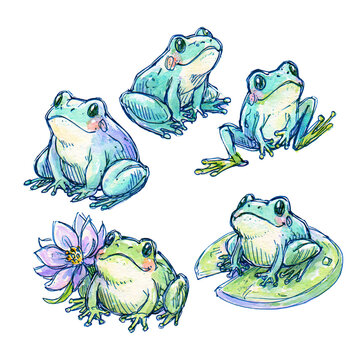 Cute Watercolor Frog Clipart Set &mdash; Hand Drawn Green Frogs on Lily Pad with Lotus Flower