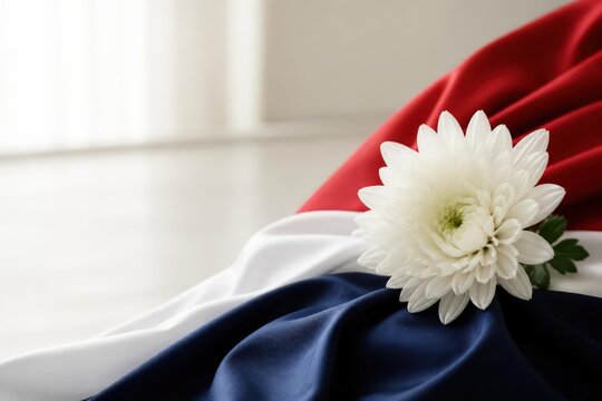 White chrysanthemum on red white and blue draped fabric