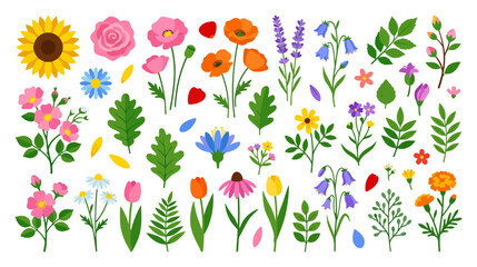 Obraz premium Vibrant Floral Collection: Diverse Blossoms & Leaves for Spring & Summer Designs