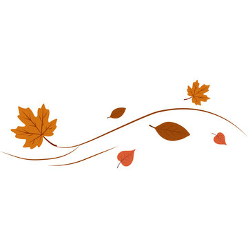 Wind Blowing Autumn Leaf