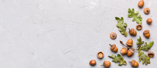 Branch with green oak tree leaves and acorns on colored background, close up top view © sosiukin
