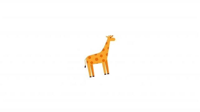 Giraffe Animal