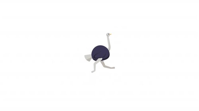 Ostrich Icon