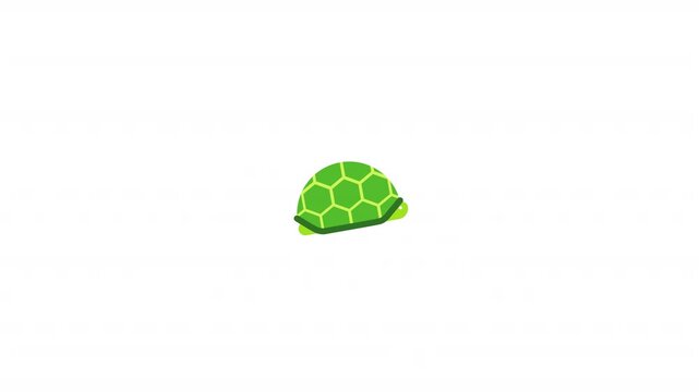 Turtle Icon