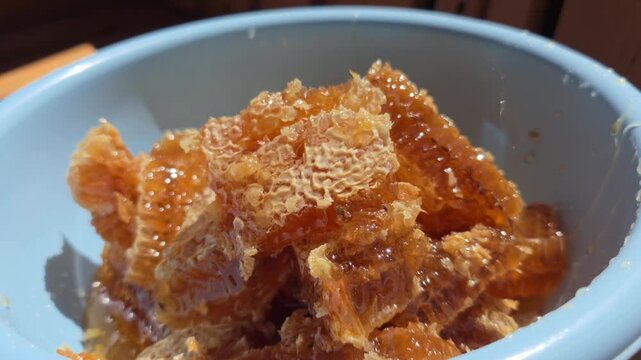 Close up view of natural honeycomb pieces with golden sweet honey in blue bowl under sunlight, showcasing organic dessert and healthy food ingredient from beekeeping production.