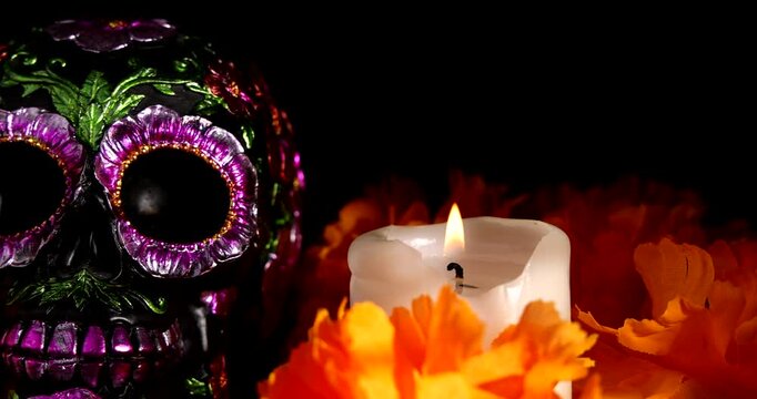Atmospheric horizontal footage of artistic dark skull decorated with metallic accents and magnolia flowers for dramatic gothic displays and halloween.