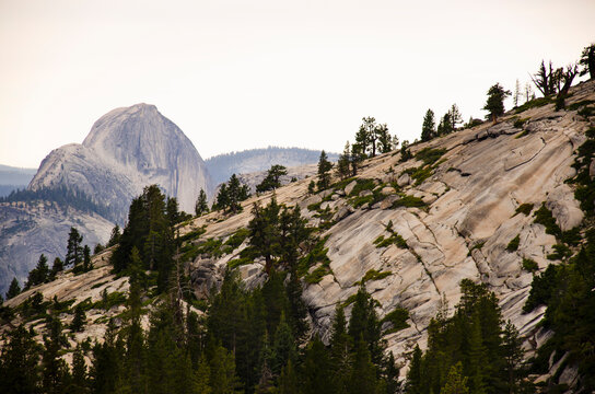 View of Half Dome from Olmstead Point