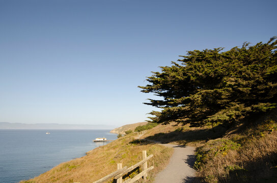 Walking path by Drakes Bay on sunny day