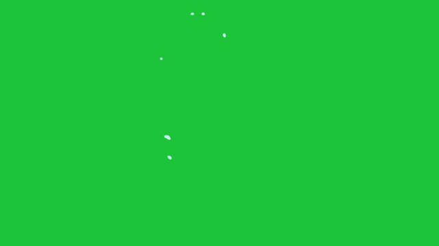 White cartoon water splash curved arc effect looping animation on a green screen chroma key background