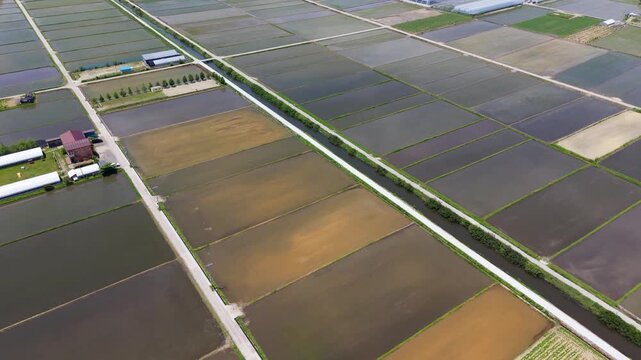 Low aerial flyover above grid of aquaculture fields and canals with farm buildings in Gangneung