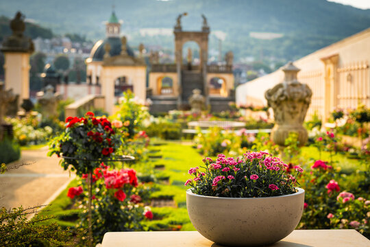 Rose garden, Růžov&aacute; zahrada, Castle Decin, Z&aacute;mek Děč&iacute;n, CZ