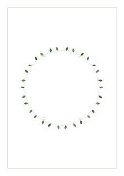 Eucalyptus round wreath frame soft green leaves botanical vertical border transparent background