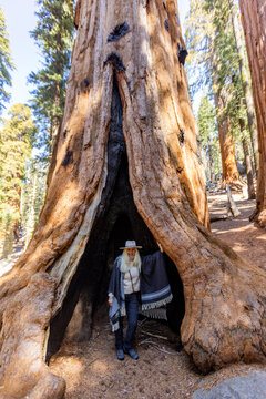 Portrait of smiling woman in trunk of Giant Sequoia tree