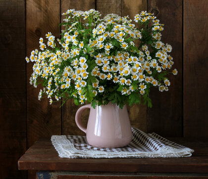 Fresh bouquet of feverfew daisies in soft pink ceramic pitcher on rustic wooden table against dark wooden background. Cozy country home decor, farmhouse still life.