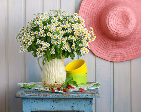 Bouquet of feverfew daisies in pitcher with wild strawberries on blue stool. Summer cottage decor, seasonal still life, rustic home, floral arrangement, cozy atmosphere.
